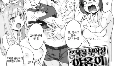 목욕물 부어진 야옹이
