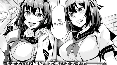 듀얼스왑 - 전편