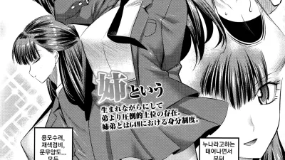 실은 야한 누나의 친구들