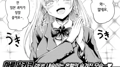 외래영애