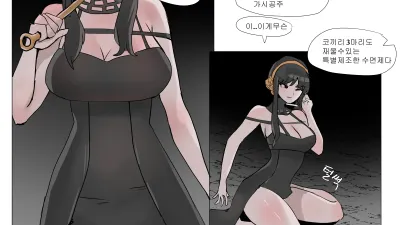 요르 포저