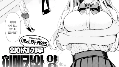 양아치 갸루 히메카와 양