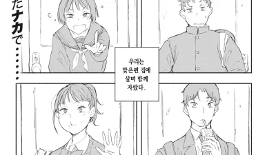 맞은편 집