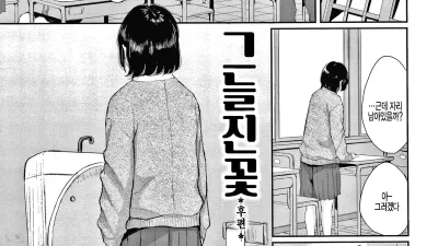 그늘진 꽃 -후편-