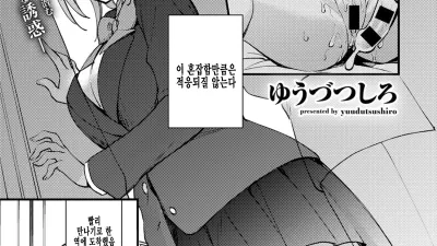 거유여친 네토라레 전철