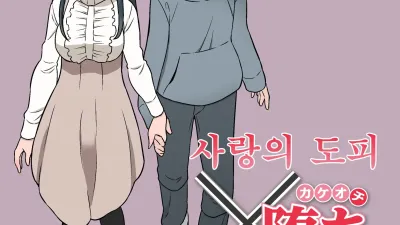 사랑의 도피