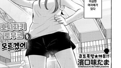 호시자키 토우코를 모르겠어