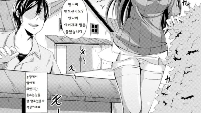 목장의 암소