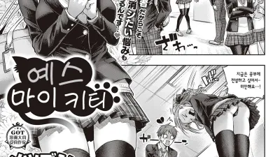 예스 마이 키티