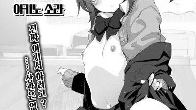 고타팬티