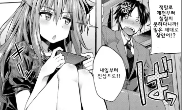 애완동물인 누나의 조련법
