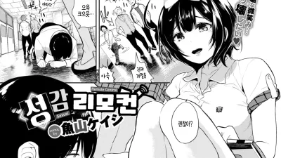 성감 리모컨